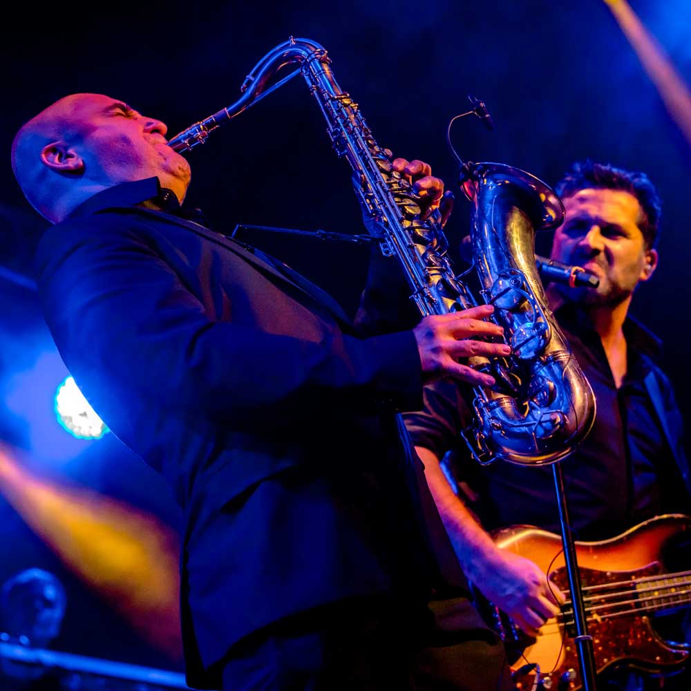 Voorstellingsbeeld van Pink Project: twee saxonisten gepassioneerd spelen tijdens een live concert met blauwe podiumverlichting op de achtergrond.