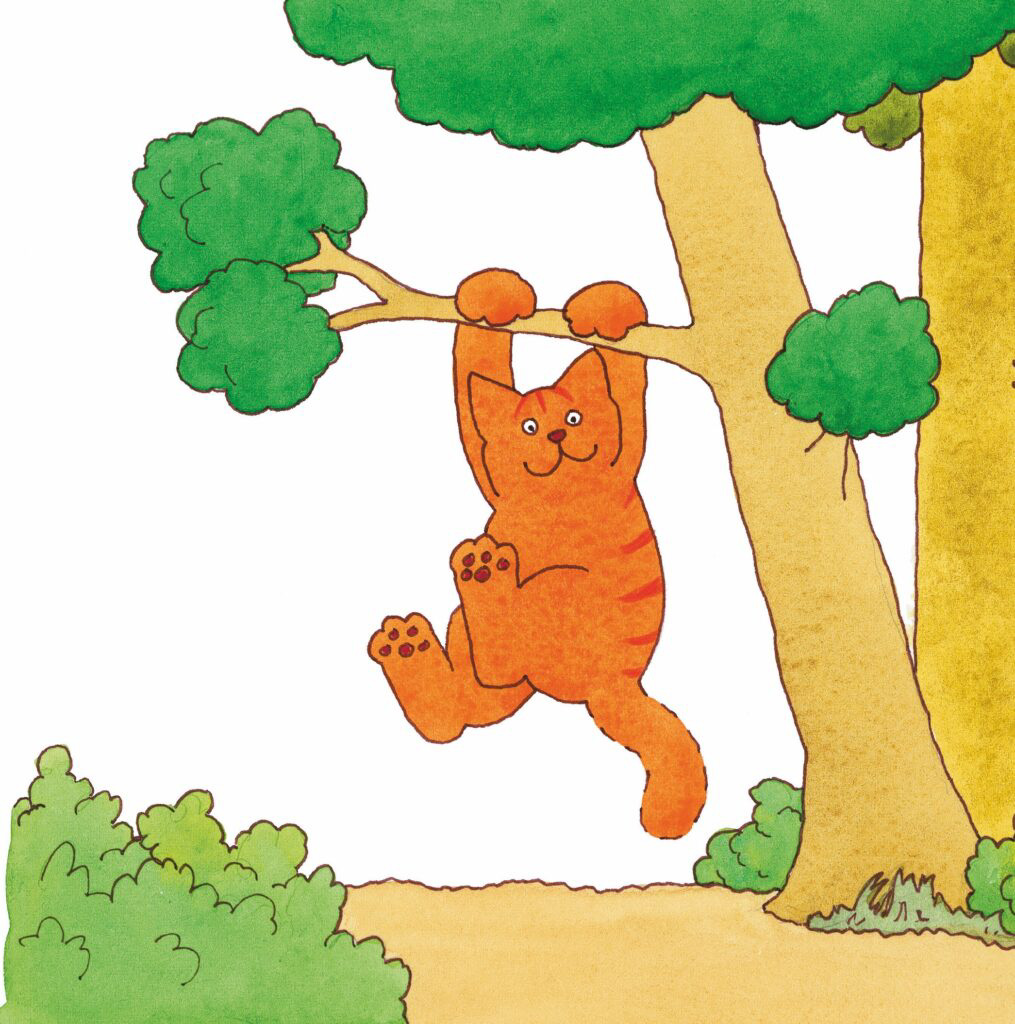 Dikkie Dik hangt vrolijk met zijn voorpoten aan een boomtak.